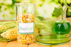 Morden biofuel availability